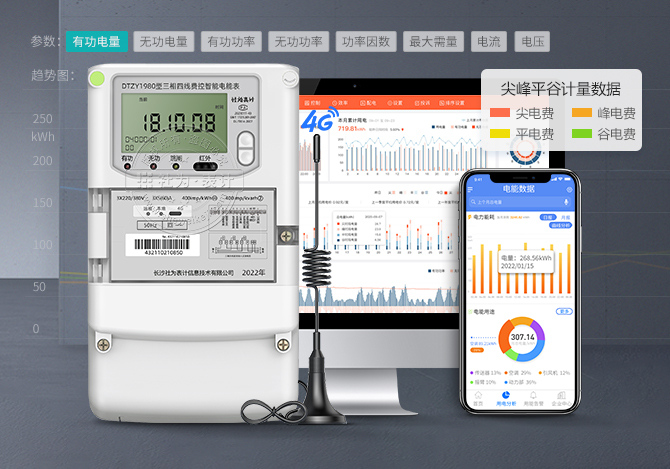 DTZY19804G無(wú)線智能電表